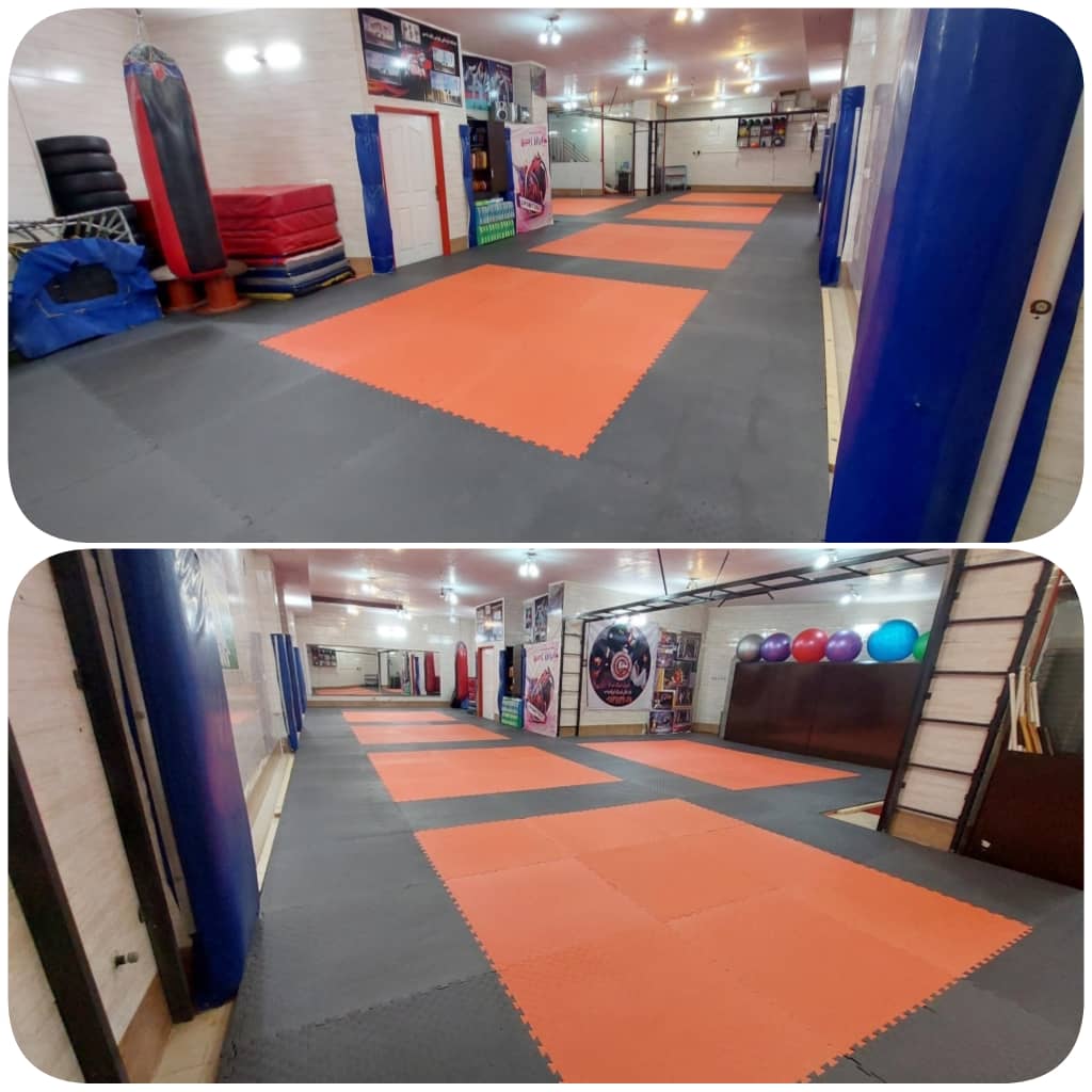 12 جلسه ووشو